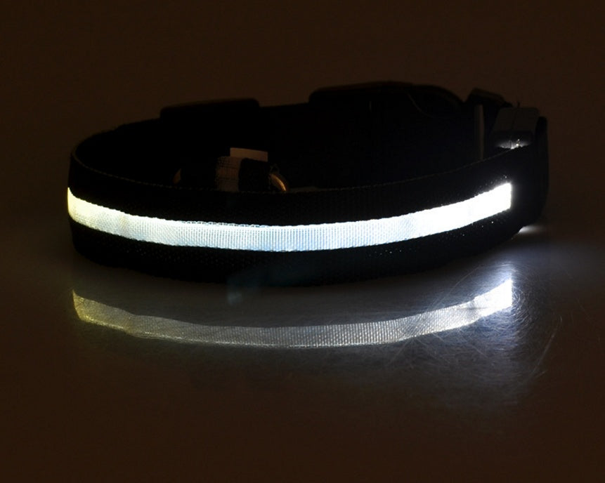 Dark collar in a dim room with its centre strip glowing bright white, reflected on the surface below