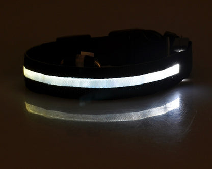 Dark collar in a dim room with its centre strip glowing bright white, reflected on the surface below