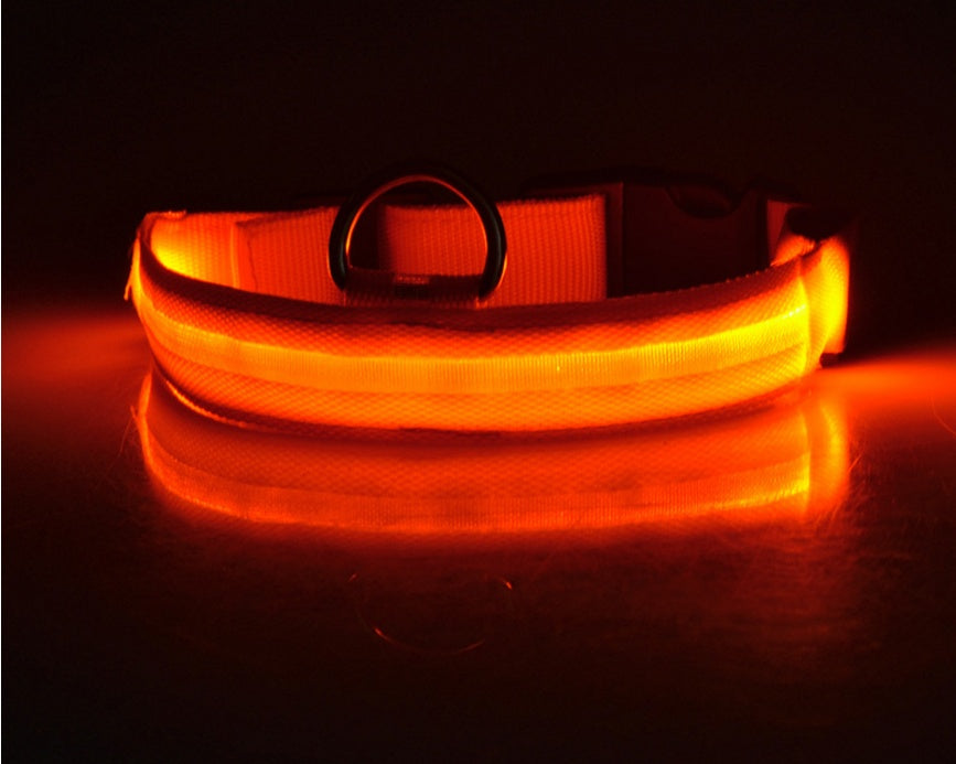 Close-up of a collar glowing orange in the dark, D-ring upright, glow spilling onto the surface