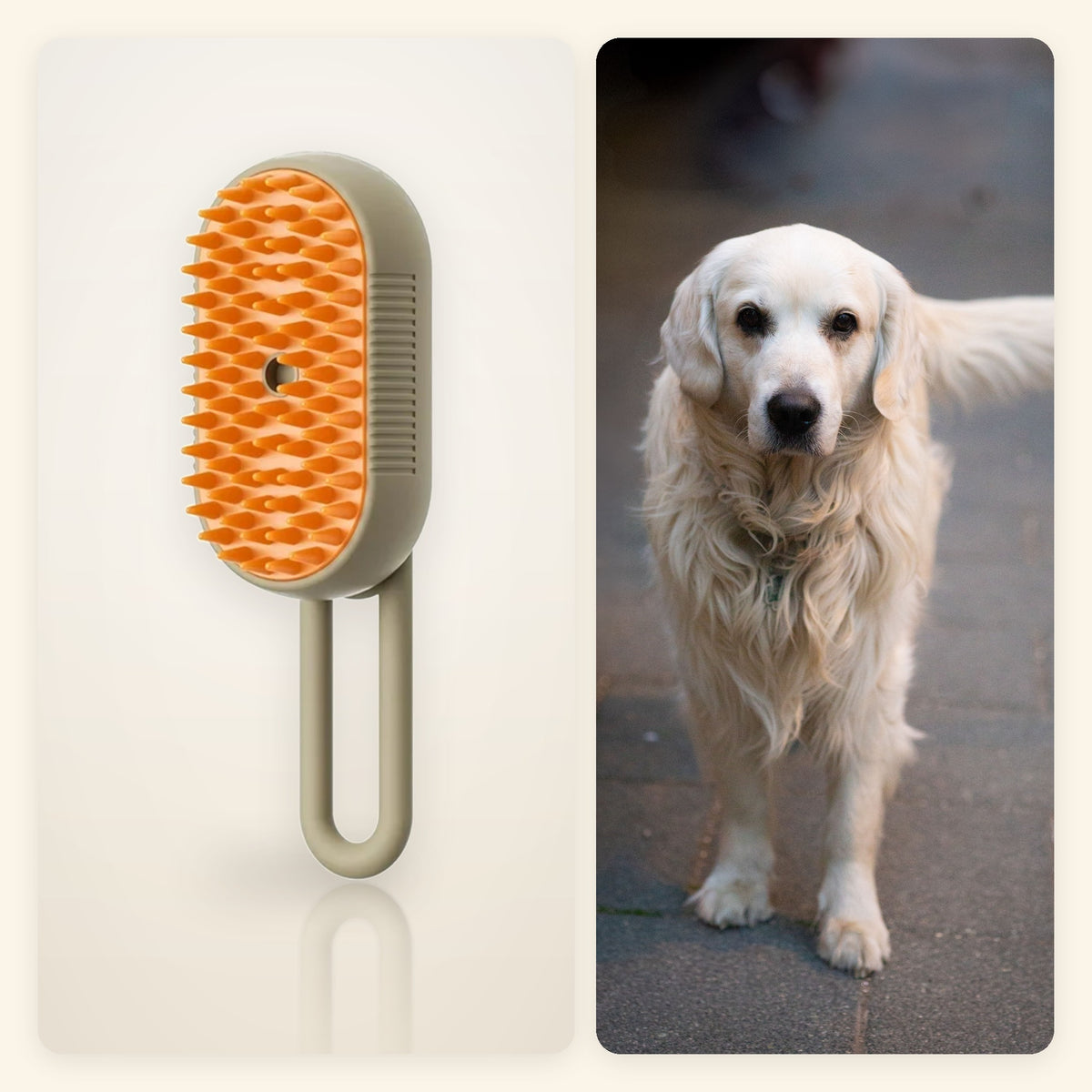 3-in-1 Steam Grooming Brush for Cats and Dogs beside a photograph of a dog