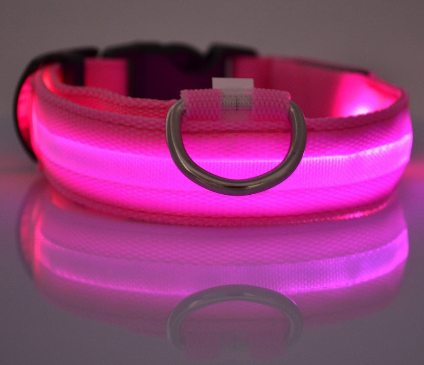 Close-up of a collar glowing pink, silver-coloured D-ring at the centre, reflected on a pale surface