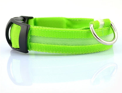 Bright green collar photographed side-on against white, showing the light strip, black slider and silver-coloured D-ring