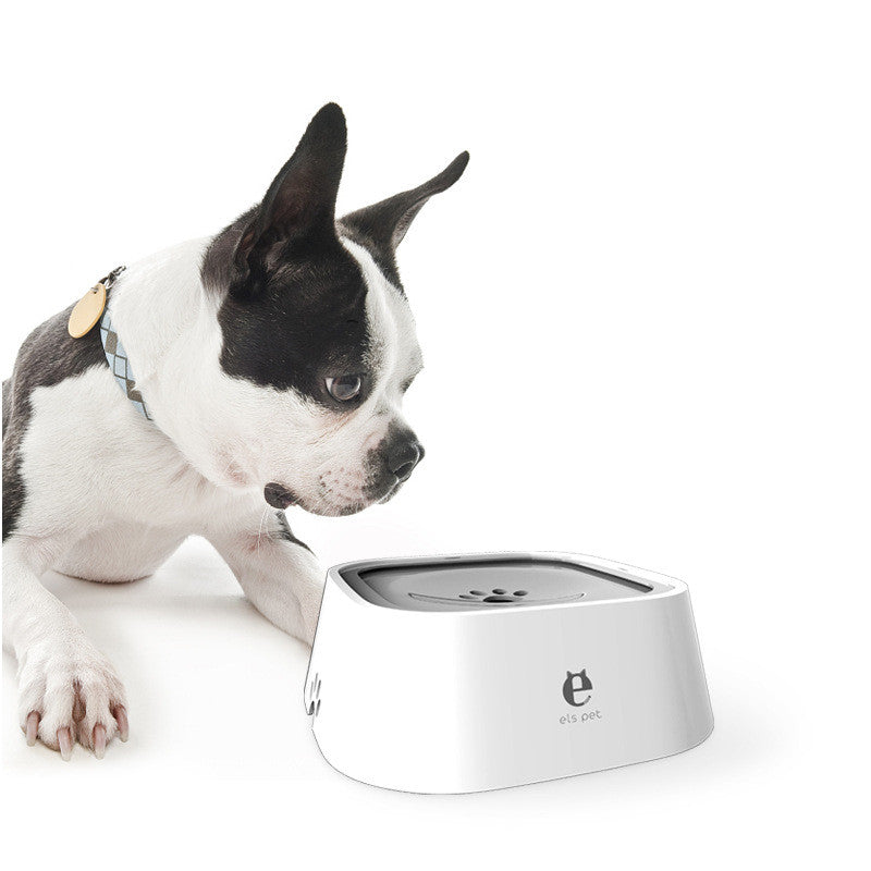 Black and white French bulldog leaning towards a white square water bowl with a grey inner plate