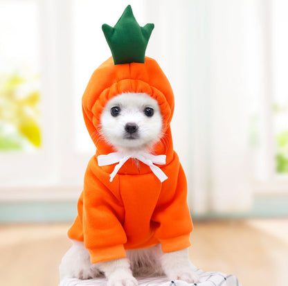 Small white fluffy dog sitting in an orange carrot hoodie with a green leafy hood and a white drawstring bow at the neck