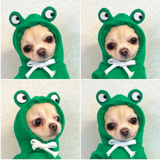 Four close-up panels of a tan short-coated dog in a green frog hoodie with stitched-on eyes and a white bow at the neck