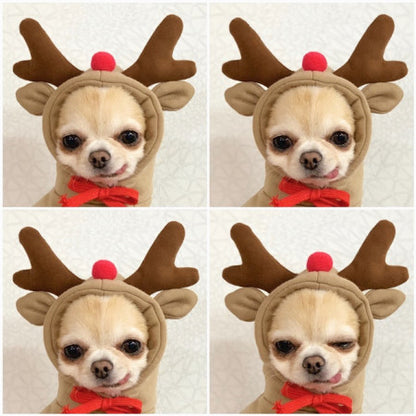 Four close-up panels of a cream short-coated dog in a tan hood with brown antlers, a red pompom on the forehead and a red bow at the neck
