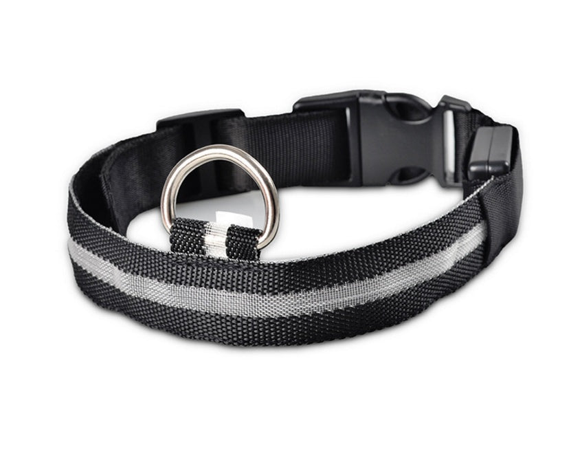 Black collar viewed from above on white, showing the grey light strip, buckle and D-ring