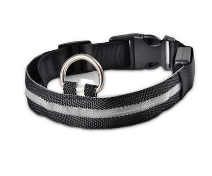 Black collar viewed from above on white, showing the grey light strip, buckle and D-ring