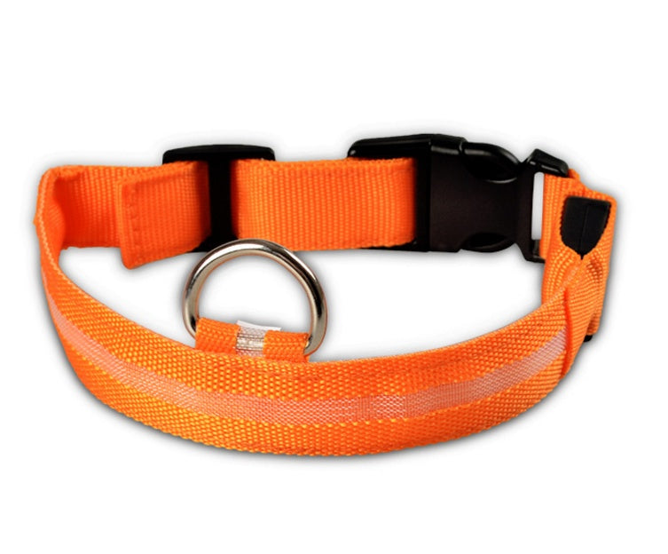 Orange collar seen from the front, showing the side-release buckle, silver-coloured D-ring and adjustable webbing strap