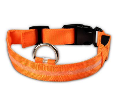 Orange collar seen from the front, showing the side-release buckle, silver-coloured D-ring and adjustable webbing strap