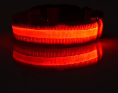Collar in darkness with the band glowing red, reflected on the surface underneath