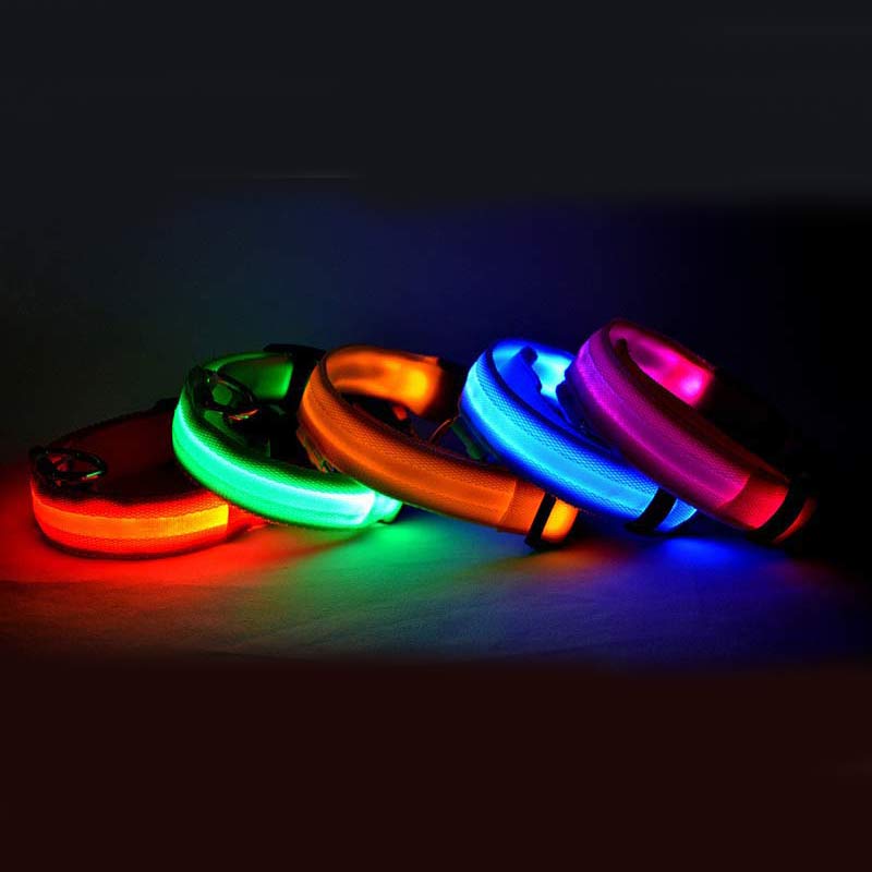 Five collars lit red, green, orange, blue and pink, grouped on a dark surface