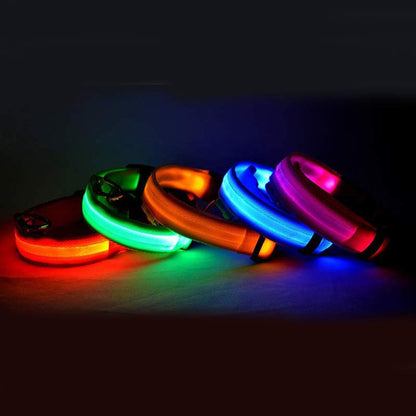Five collars lit red, green, orange, blue and pink, grouped on a dark surface