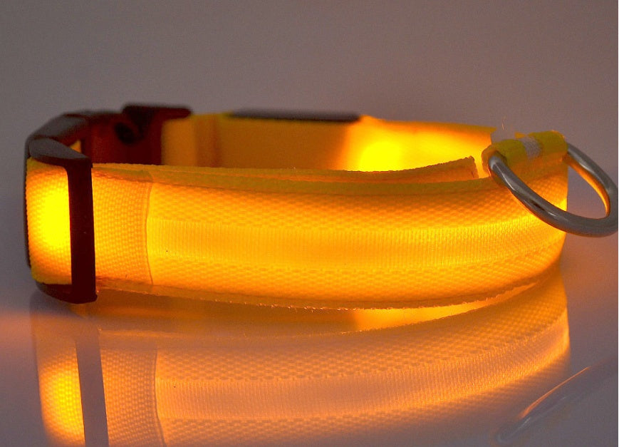 Dog collar photographed in a dim room with its band lit up and glowing warm amber