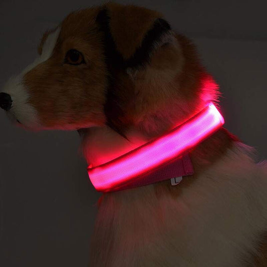 A tan and white dog wearing a pink glowing collar, photographed in a dark room