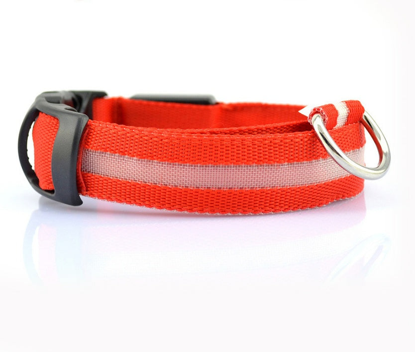 Red collar photographed side-on against white, with a pale centre strip and a silver-coloured D-ring