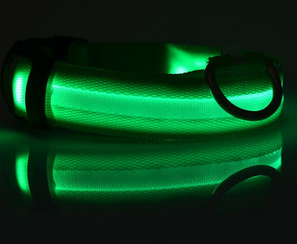 Collar lit in a dark room, its band glowing bright green with a reflection beneath it