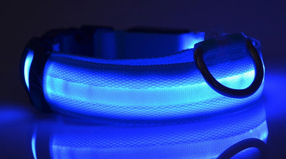 Collar glowing blue in a dark room, with the D-ring and buckle silhouetted against the light
