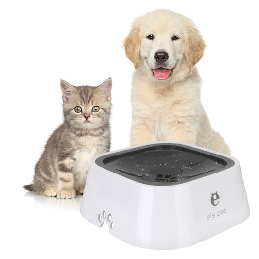 Grey tabby kitten and cream retriever puppy sitting behind a white square water bowl with a dark grey inner plate