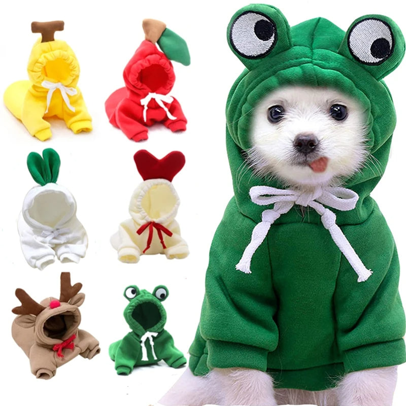 Small white dog wearing a green frog hoodie with stitched-on eyes, beside six unworn hoodies laid out flat: banana, apple, white radish, cream with a red heart, tan with antlers, and frog
