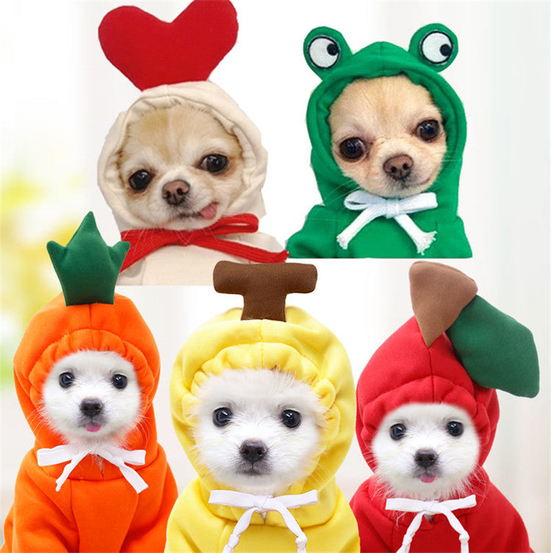 Collage of five head-and-shoulders shots: two tan short-coated dogs in the cream red-heart hood and the green frog hood, and three white fluffy dogs in carrot, banana and apple hoods