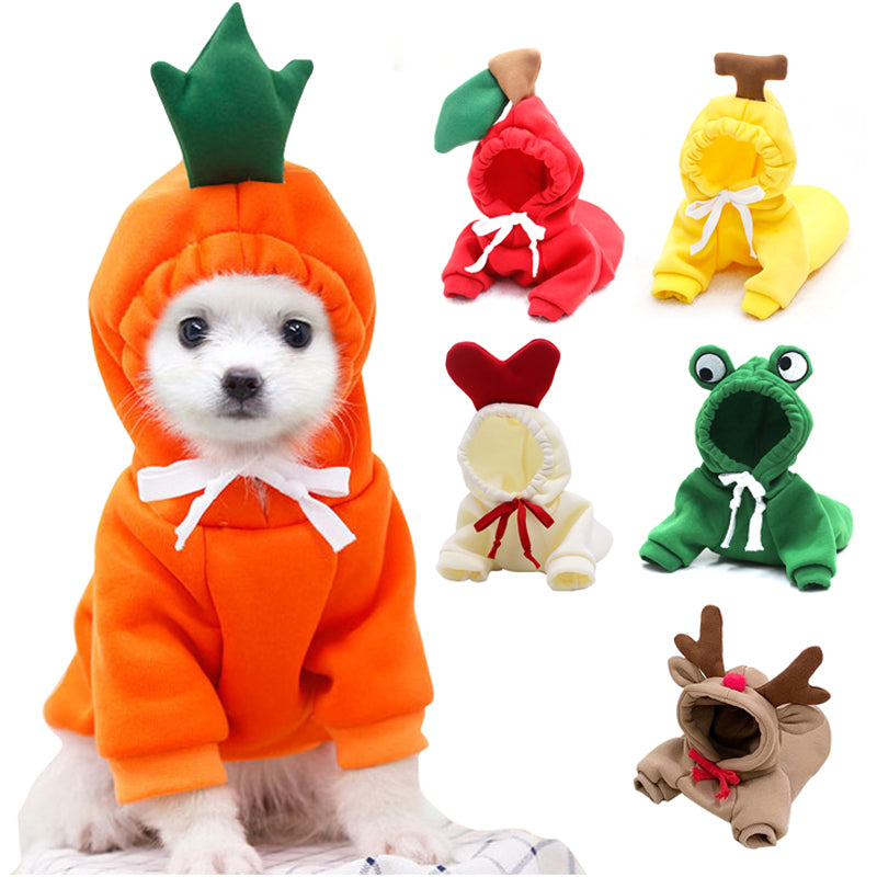 Small white dog wearing an orange carrot hoodie with a green leafy top, beside five unworn hoodies: apple, banana, cream with a red heart, frog and tan with antlers