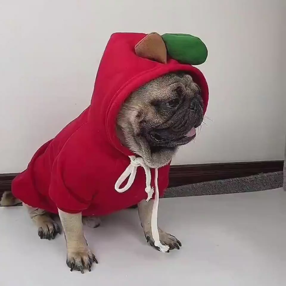 Novelty Hooded Jumper for Small Dogs, Seven Hood Designs