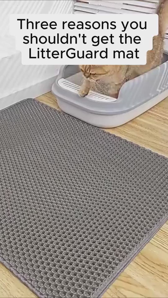 Double-Layer Honeycomb Cat Litter Trapping Mat