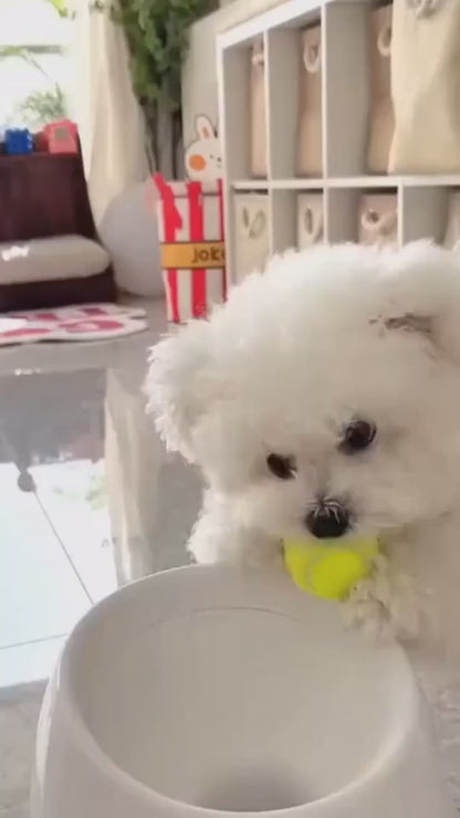 Automatic Ball Launcher for Dogs Who Bring It Back