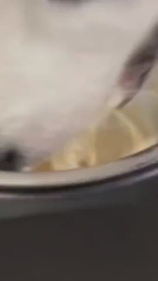 Floating Water Bowl for Cats and Dogs with Paw Opening