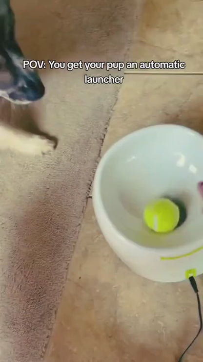 Automatic Ball Launcher for Dogs Who Bring It Back