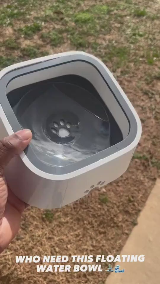 Floating Water Bowl for Cats and Dogs with Paw Opening