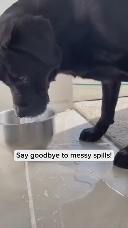 Floating Water Bowl for Cats and Dogs with Paw Opening