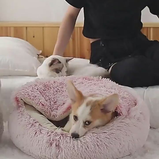 2-in-1 Hooded Round Plush Bed for Cats and Dogs